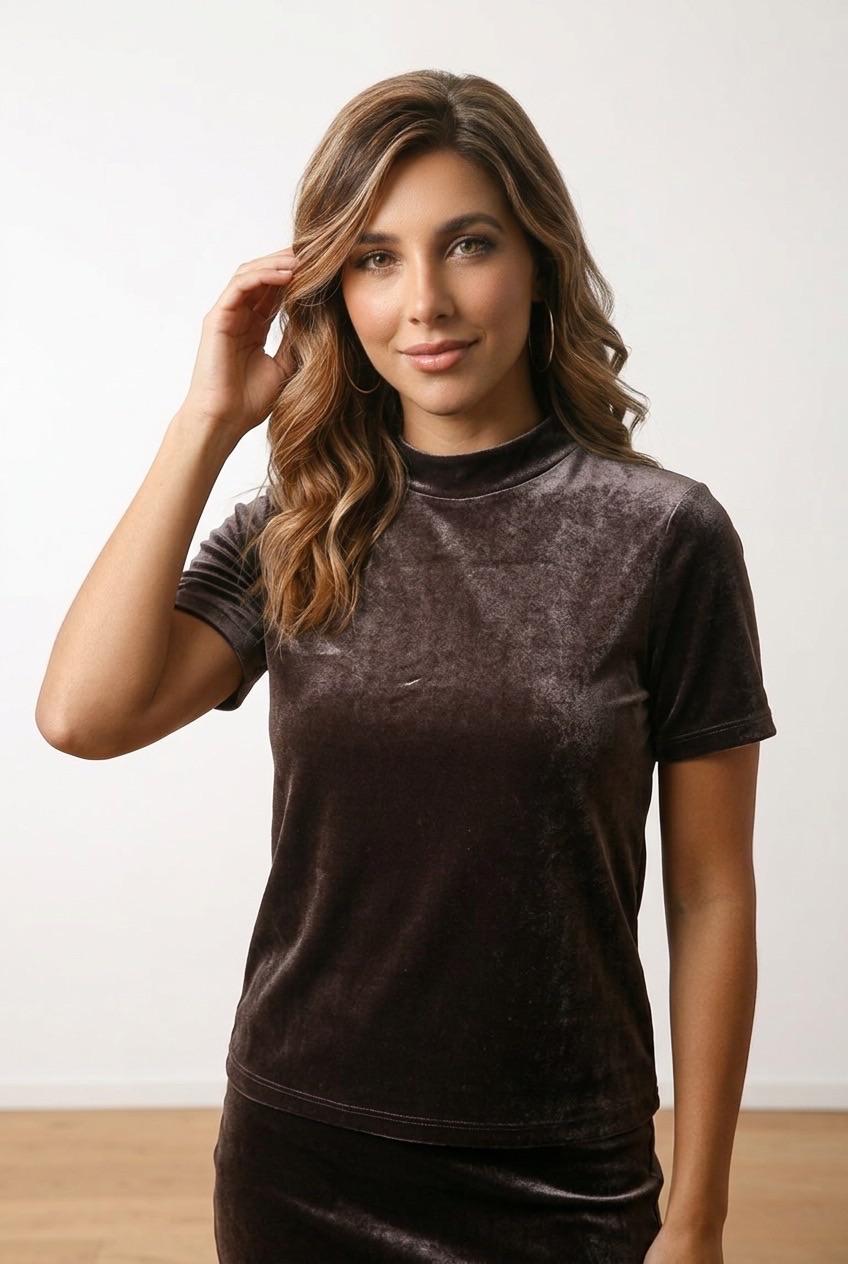 Zara Trafaluc Brown Velvet T-Shirt